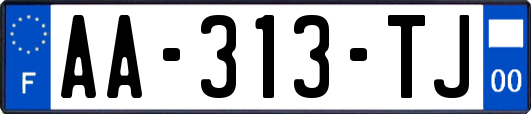 AA-313-TJ