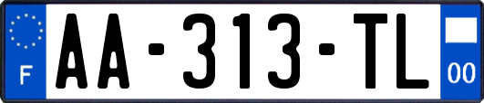 AA-313-TL