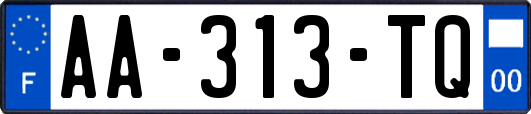 AA-313-TQ