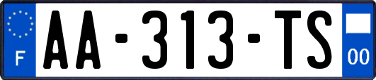 AA-313-TS