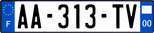 AA-313-TV