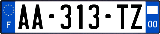 AA-313-TZ