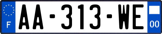 AA-313-WE