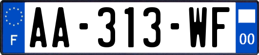 AA-313-WF