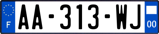 AA-313-WJ