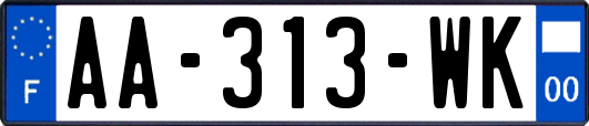 AA-313-WK