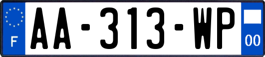 AA-313-WP