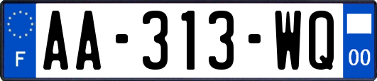 AA-313-WQ