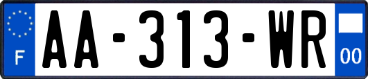 AA-313-WR