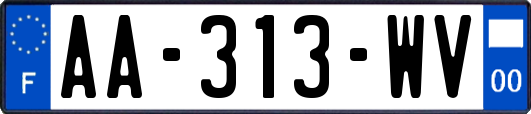 AA-313-WV