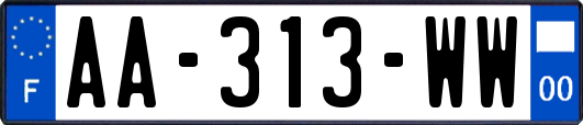 AA-313-WW