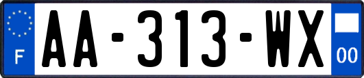 AA-313-WX