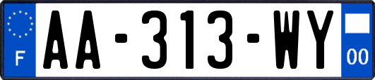 AA-313-WY