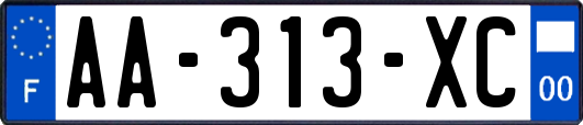 AA-313-XC