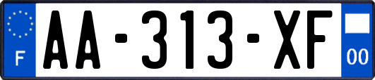 AA-313-XF