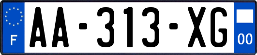 AA-313-XG