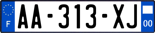 AA-313-XJ