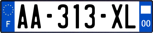 AA-313-XL