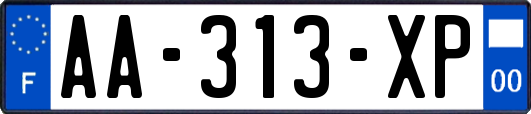 AA-313-XP