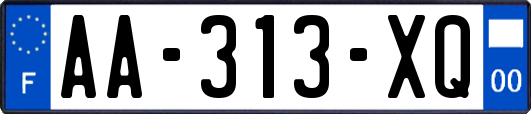 AA-313-XQ