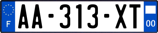 AA-313-XT