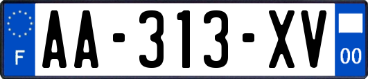 AA-313-XV