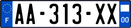 AA-313-XX