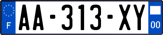 AA-313-XY