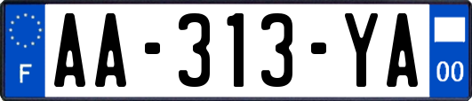 AA-313-YA