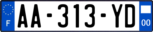 AA-313-YD