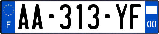 AA-313-YF