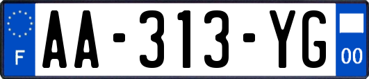 AA-313-YG