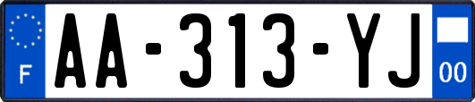 AA-313-YJ