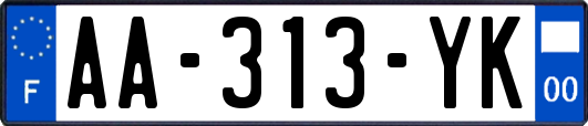 AA-313-YK