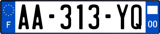 AA-313-YQ