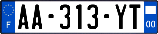 AA-313-YT