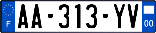 AA-313-YV