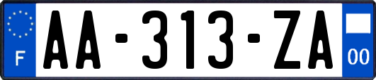 AA-313-ZA