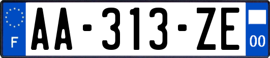 AA-313-ZE