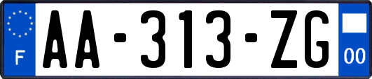 AA-313-ZG