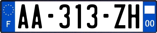 AA-313-ZH