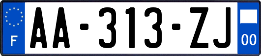 AA-313-ZJ