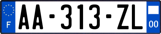 AA-313-ZL