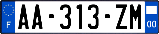 AA-313-ZM