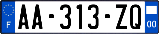 AA-313-ZQ