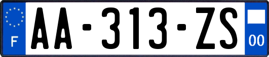 AA-313-ZS