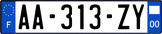 AA-313-ZY