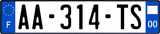 AA-314-TS