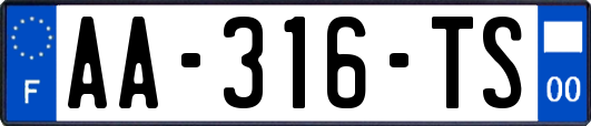 AA-316-TS