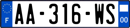 AA-316-WS